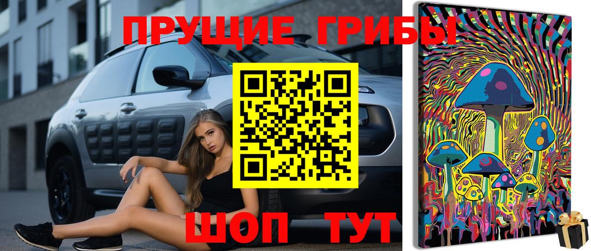 Псилоцибиновые грибы мухоморы Большой Камень