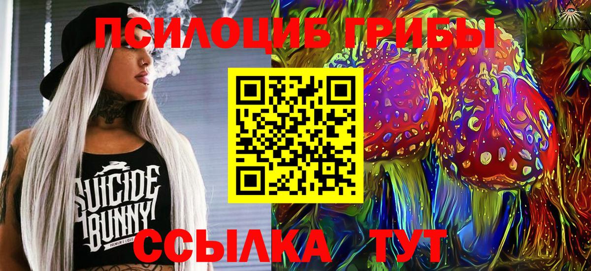 Псилоцибиновые грибы Psilocybine cubensis  купить наркотик  Большой Камень  Вход с VPN 